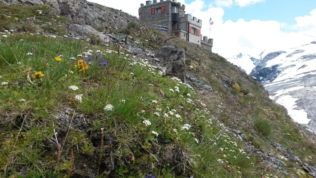 Rifugio Garibaldi Passo Stelvio Exterior foto